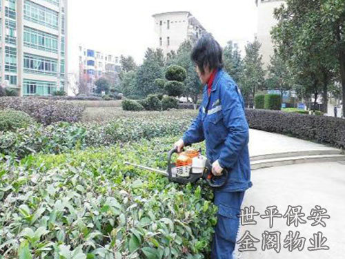 綠化維護(hù)